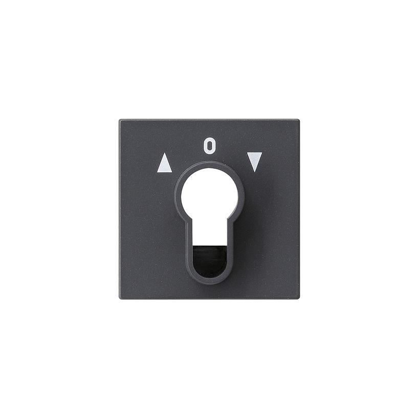 Abdeckung für Schlüsselschalter/-taster System 55 anthrazit 066428